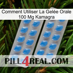 Comment Utiliser La Gelée Orale 100 Mg Kamagra 23